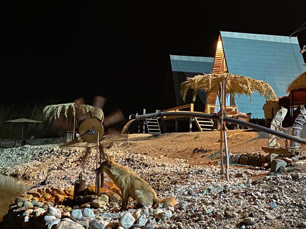 Wadi Al-Hassa Camp Otel Khawkhah Dış mekan fotoğraf