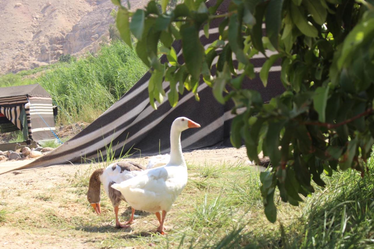 Wadi Al-Hassa Camp Otel Khawkhah Dış mekan fotoğraf