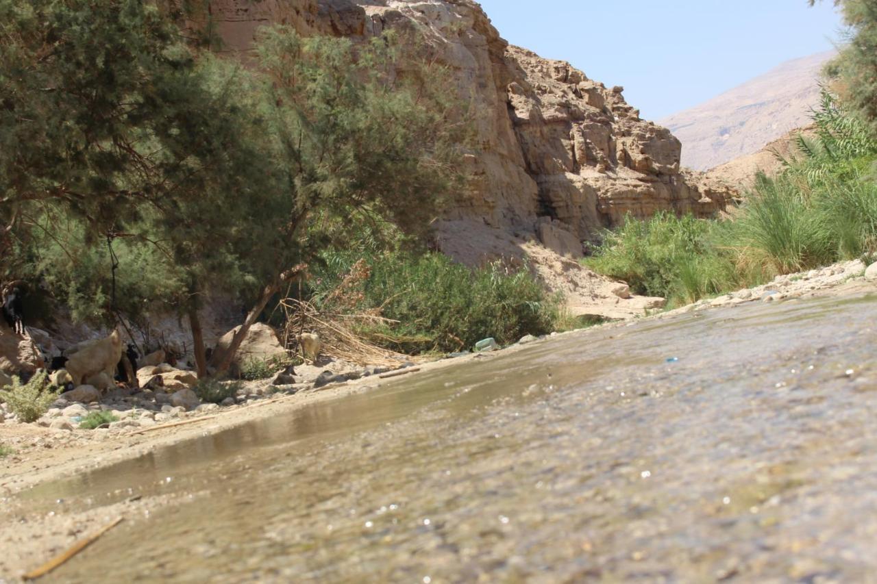 Wadi Al-Hassa Camp Otel Khawkhah Dış mekan fotoğraf