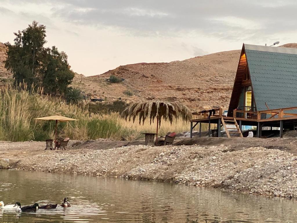 Wadi Al-Hassa Camp Otel Khawkhah Dış mekan fotoğraf
