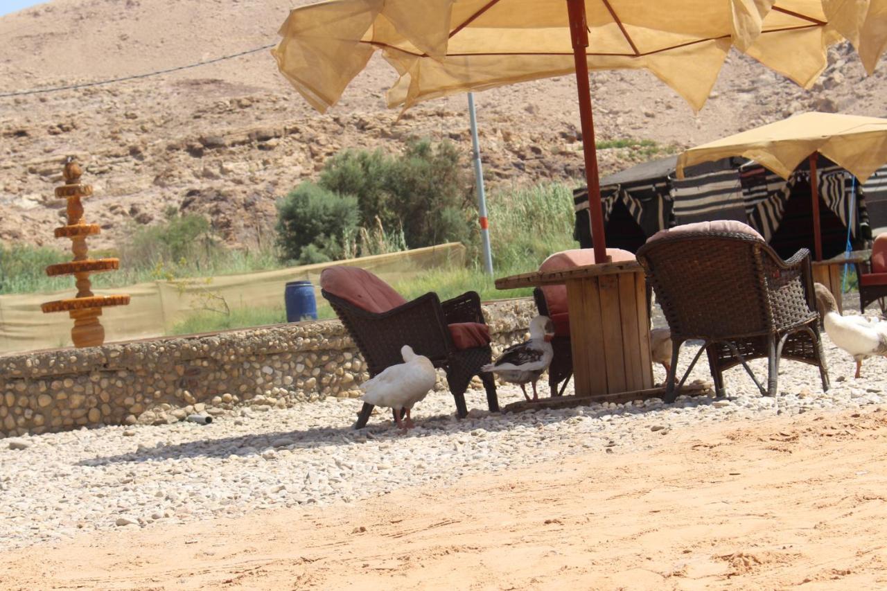 Wadi Al-Hassa Camp Otel Khawkhah Dış mekan fotoğraf