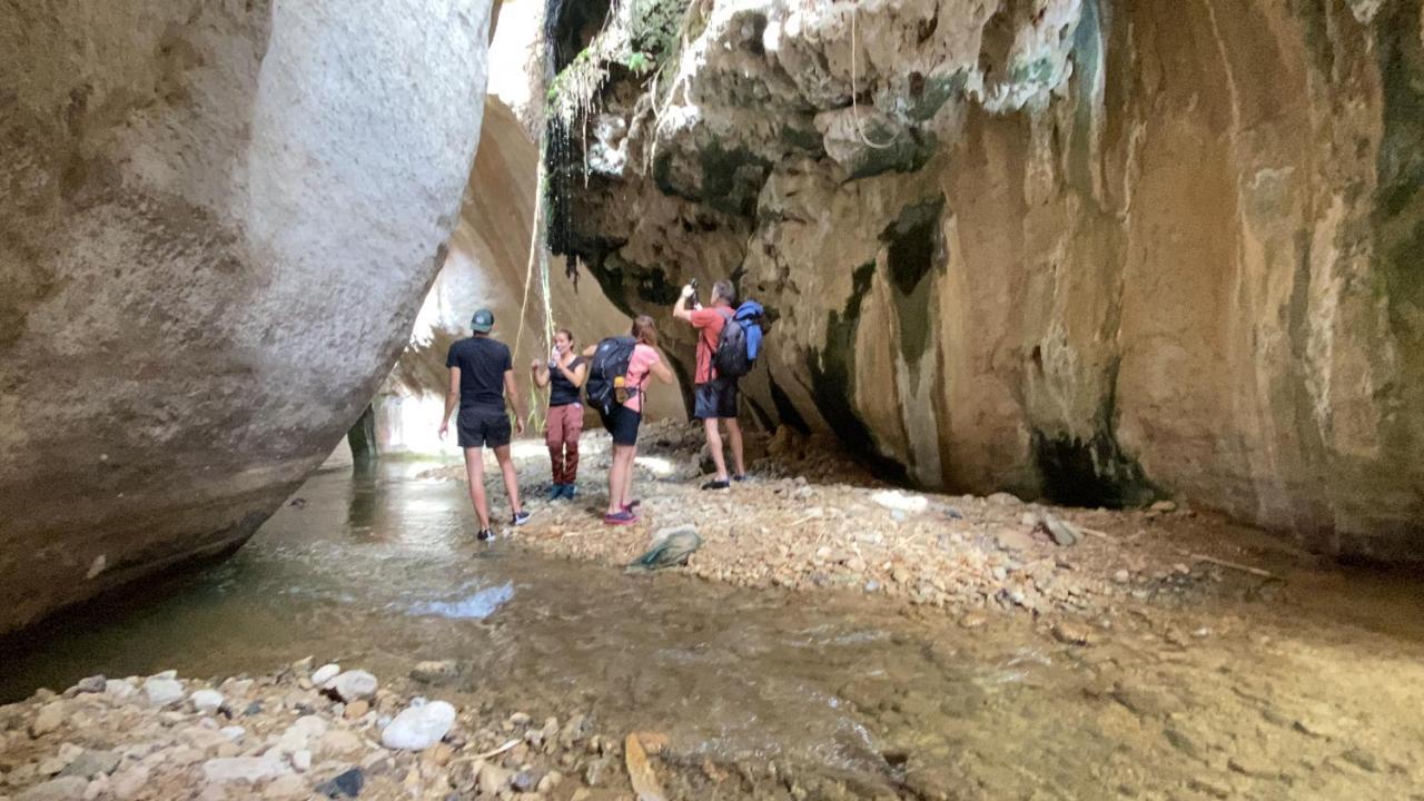 Wadi Al-Hassa Camp Otel Khawkhah Dış mekan fotoğraf