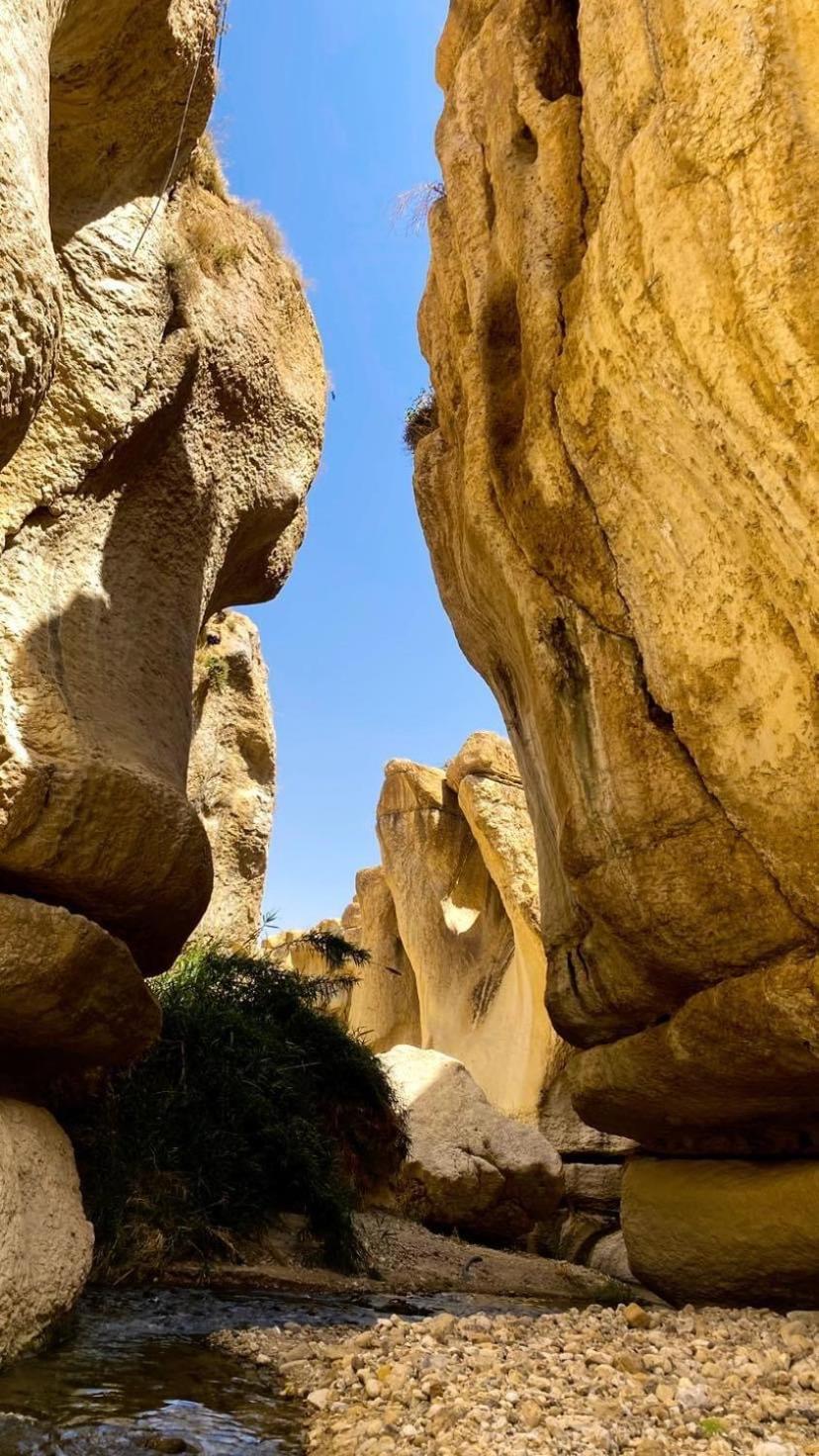 Wadi Al-Hassa Camp Otel Khawkhah Dış mekan fotoğraf