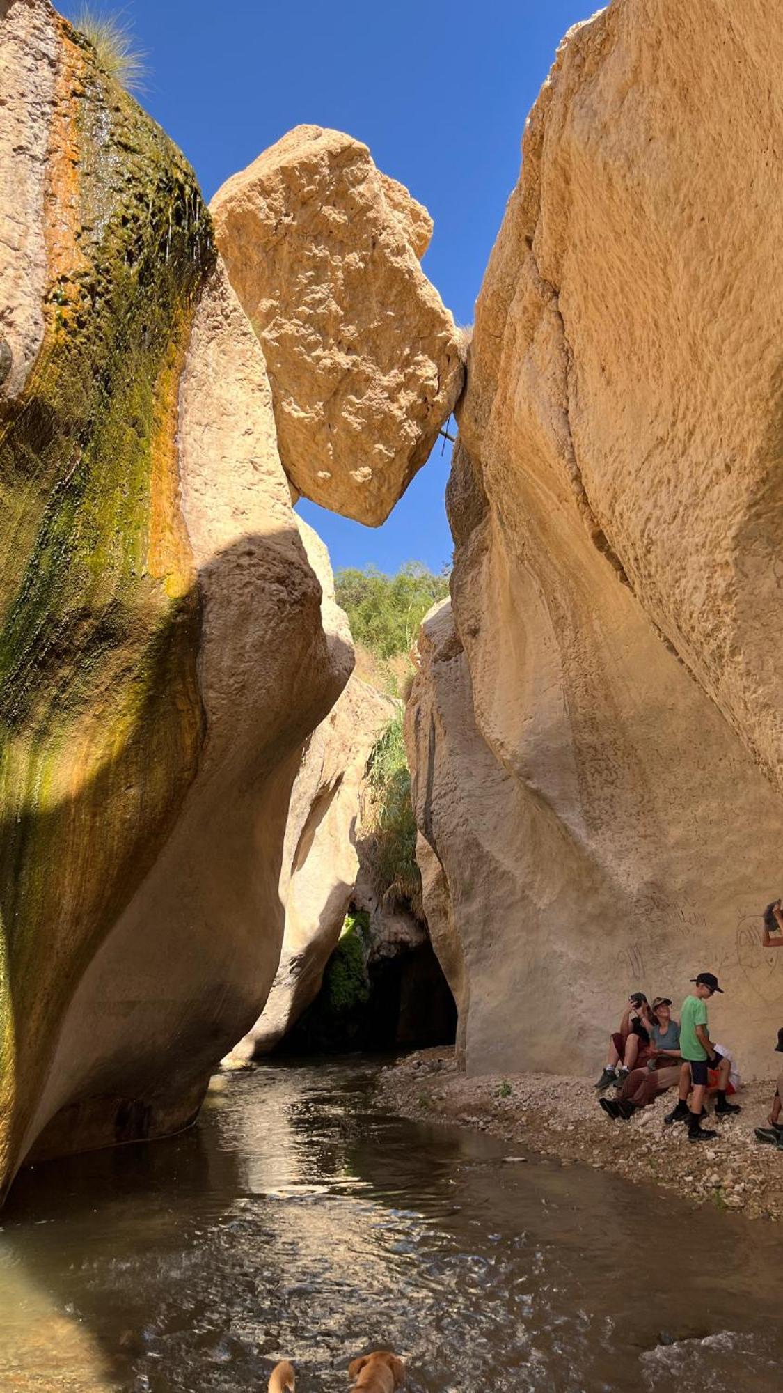 Wadi Al-Hassa Camp Otel Khawkhah Dış mekan fotoğraf