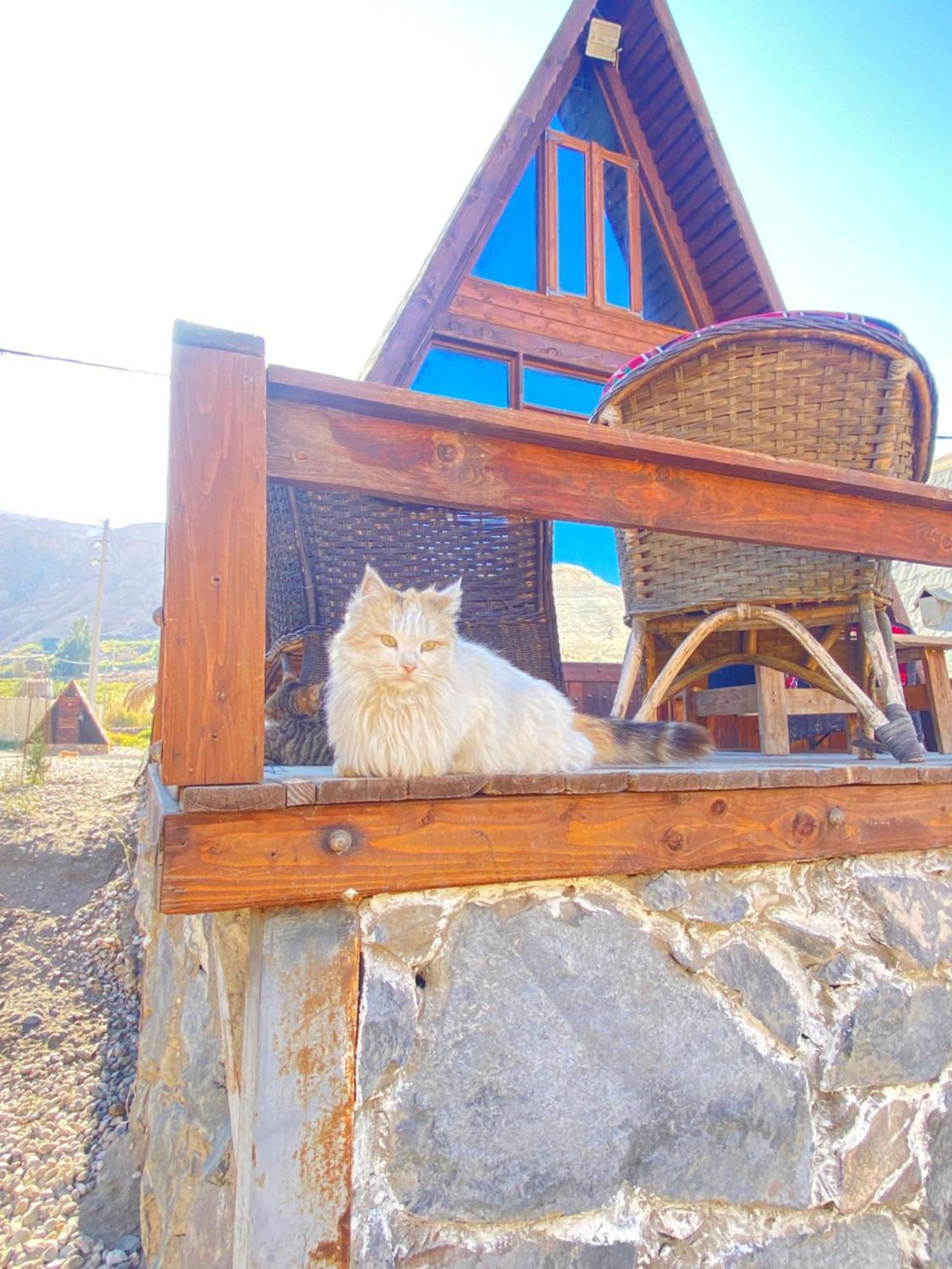 Wadi Al-Hassa Camp Otel Khawkhah Dış mekan fotoğraf